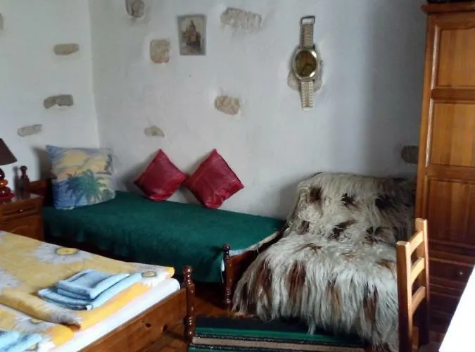 ゲストハウス Srebren Rural House Osenovo