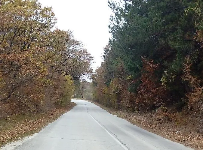 Pensión Srebren Rural House Osenovo