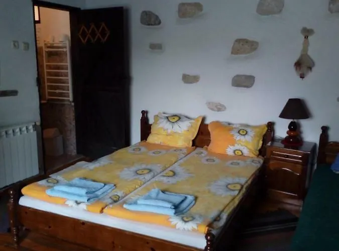بيت ضيافة Srebren Rural House *
